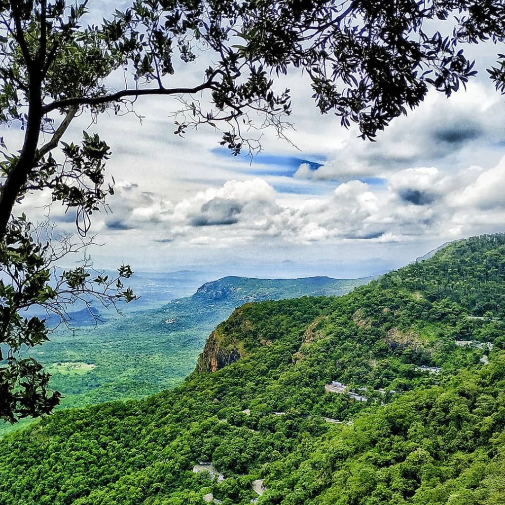 yercaud tourist places
