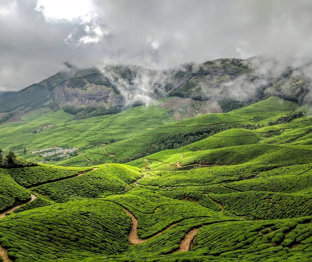 munnar tour packages for 2 days