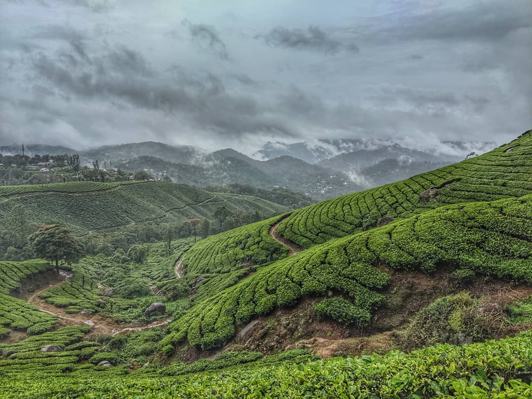 munnar tour packages for 2 days