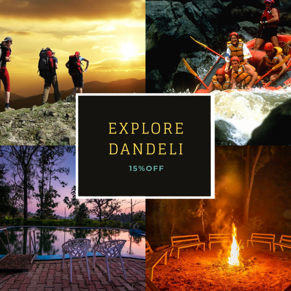 dandeli tour packages
