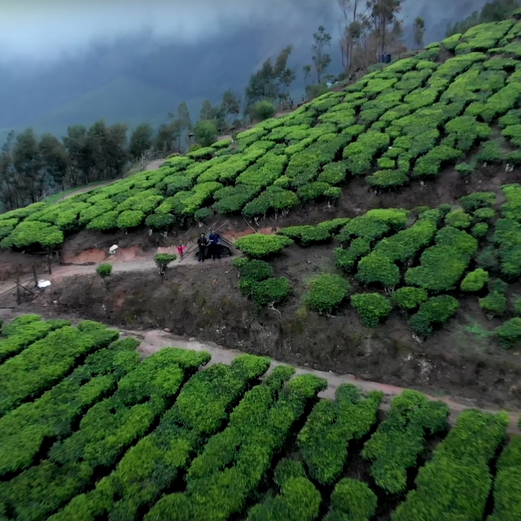 kolukkumalai tent stay